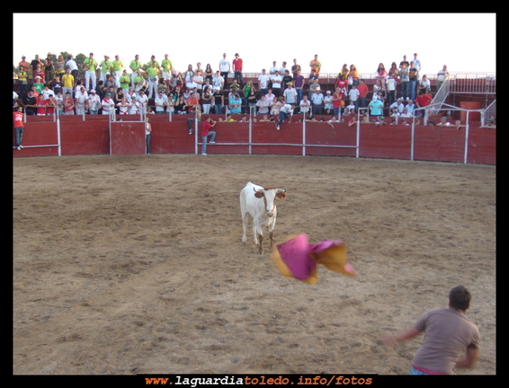 Vaquilla dia 24