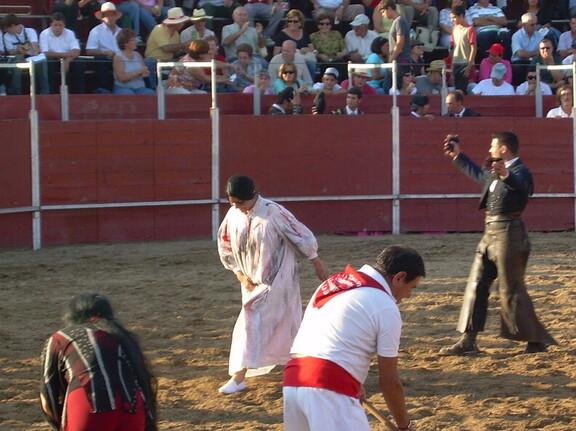 Zombies en los toros