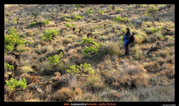 I Ruta a Pie organizada por Quijotes en Ruta 19 de septiembre de 2009 - Unas veces por veredas y otras campo a través...