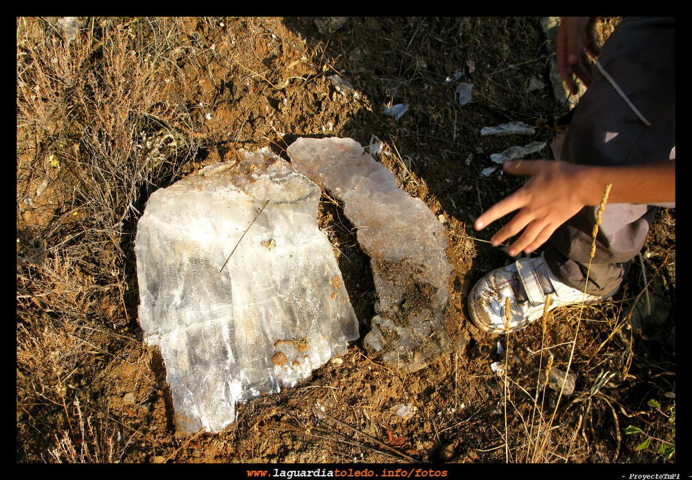 I Ruta a Pie organizada por Quijotes en Ruta 19 de septiembre de 2009 - Espejuelo de tamaño considerable.