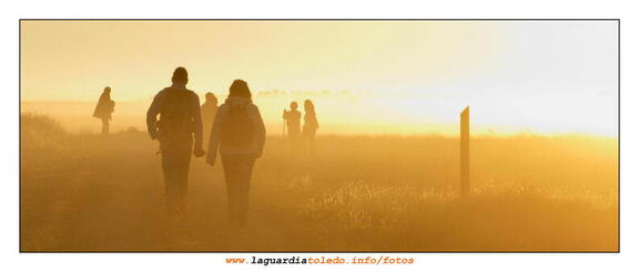 II Ruta a Pie organizada por Quijotes en Ruta 17 de octubre de 2009 - Dejando atrás la niebla por el camino viejo a las navas