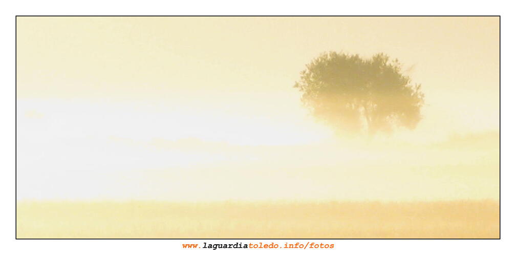 II Ruta a pie para descubrir La Mancha 17 de octubre de 2009