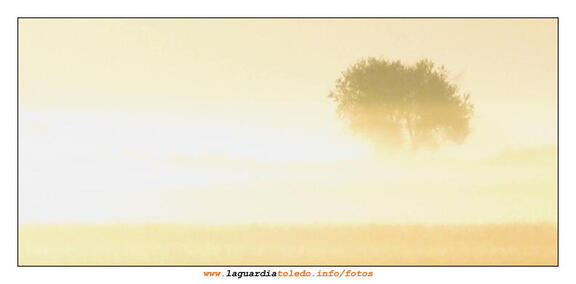 II Ruta a pie para descubrir La Mancha 17 de octubre de 2009