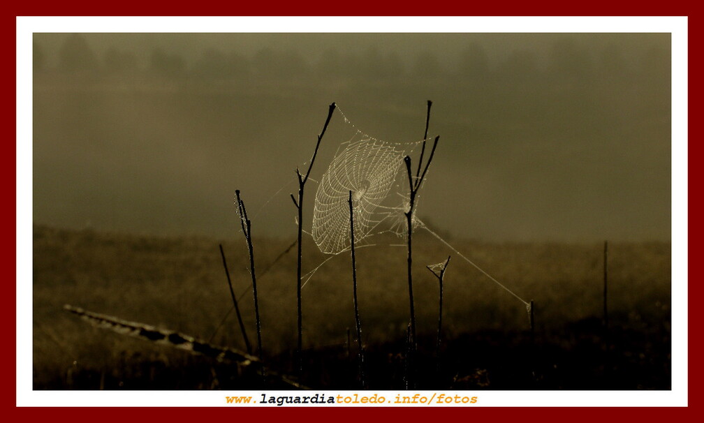 II Ruta a pie para descubrir La Mancha 17 de octubre de 2009