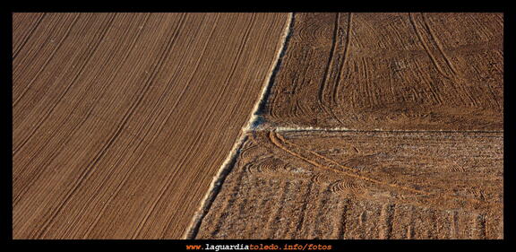 IV Marcha de Quijotes en Ruta -  Parece madera pero madera no es... -