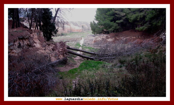III Ruta a Pie organizada por Quijotes en Ruta 21 de noviembre de 2009 - Los caídos de Perejón