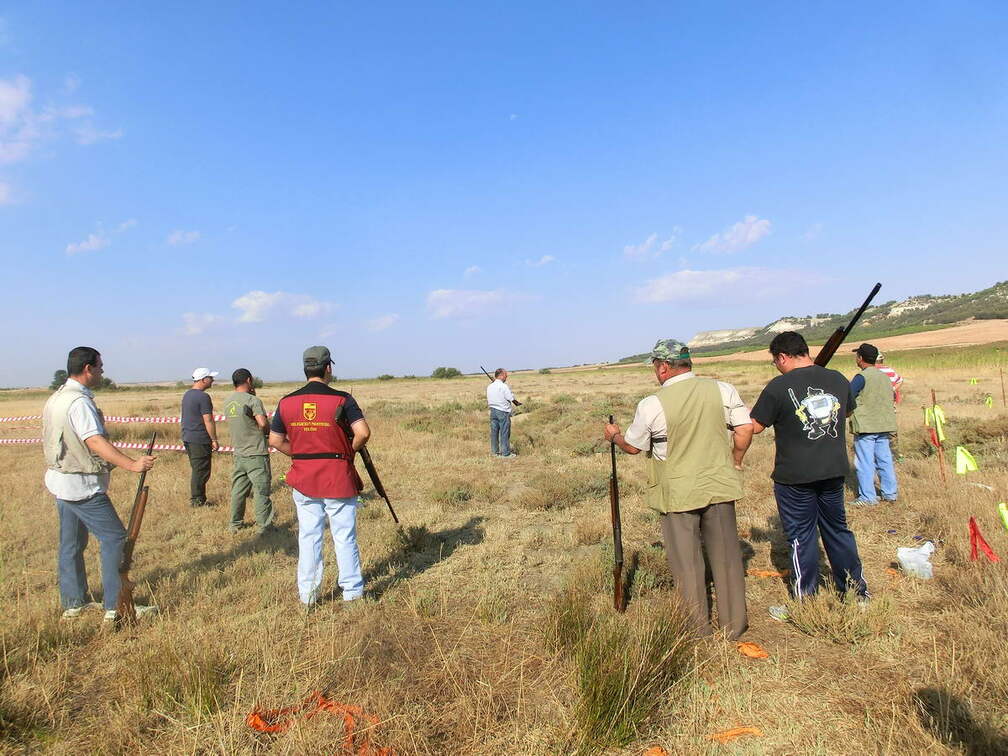 Tiro a la codorniz en el Molino de Pera. 17-09-2011