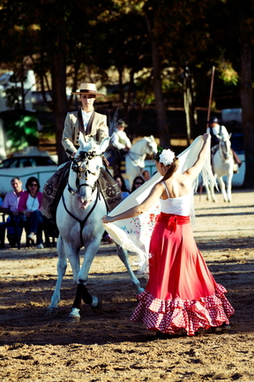 Exhibición ecuestre. (Fiestas 2014)