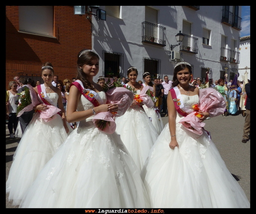 Flores entre flores