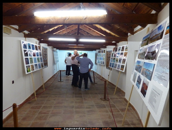 Exposición V
