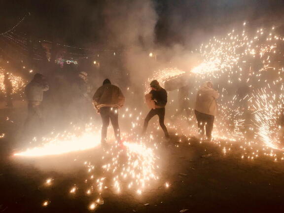 Toros de fuego