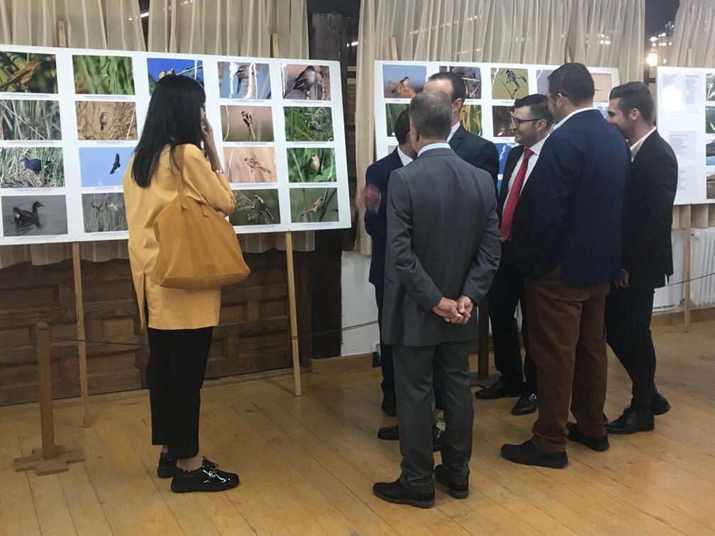 Inauguración de las exposiciones