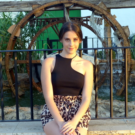 DIANA VILLARREAL VILLARREAL