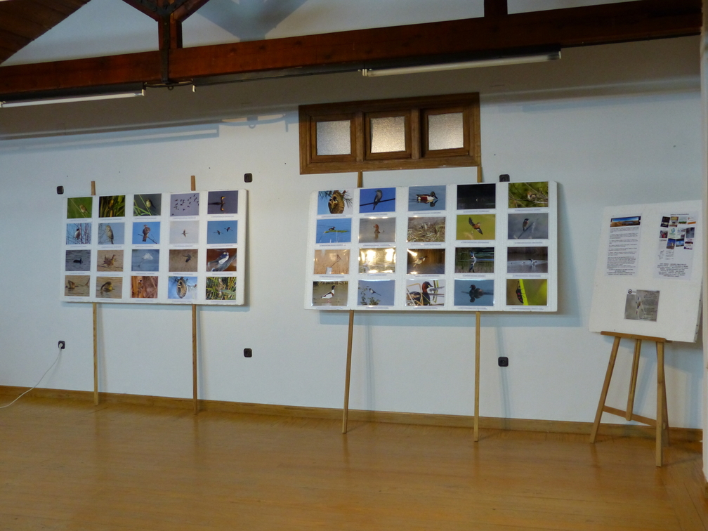 Inauguración de exposiciones en la Casa de los Jaenes 23-9-22