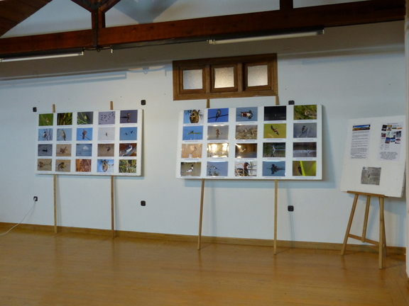Inauguración de exposiciones en la Casa de los Jaenes 23-9-22