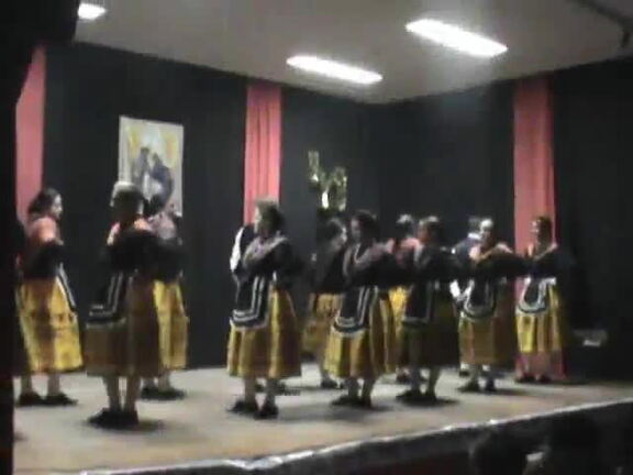 bailes regionales