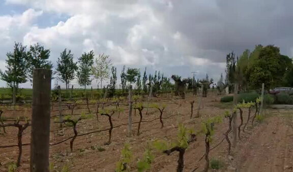 Panorámica de 360º de Bodegas Martúe. 20-04-2011