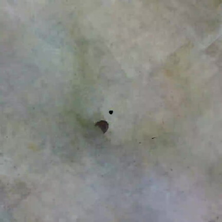 Una primera aproximación imperfecta a la visión total del interior de la Iglesia de La Guardia el Viernes Santo de 2011 hecha con un teléfono móvil