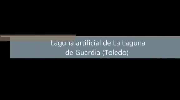 Video de aves en la laguna artificial de La Laguna