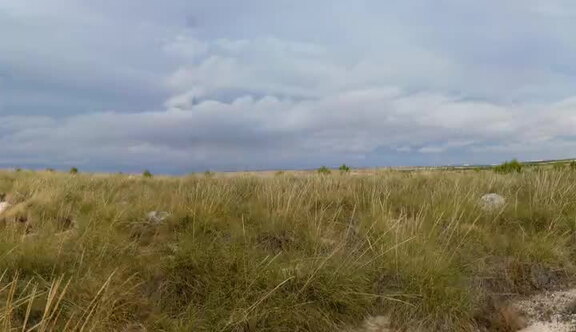 Panorámica de 360º de La Guardia y la Dehesa Monreal desde los cerros del Castillo de Monreal