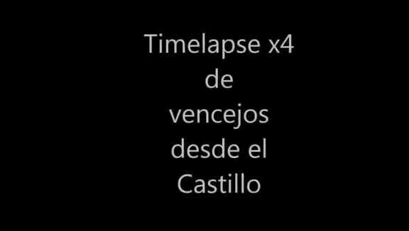 Timelapse x4 de vencejos en la Iglesia desde el Castillo