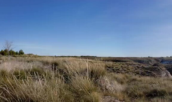 El Montón de Trigo de la Dehesa Monreal