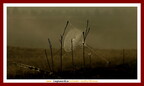 II Ruta a pie para descubrir La Mancha 17 de octubre de 2009