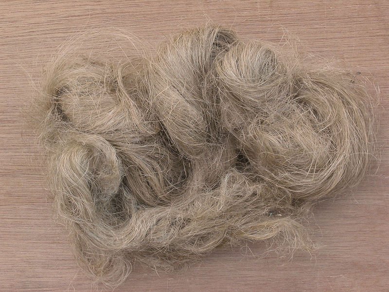 EL CAÑAMO