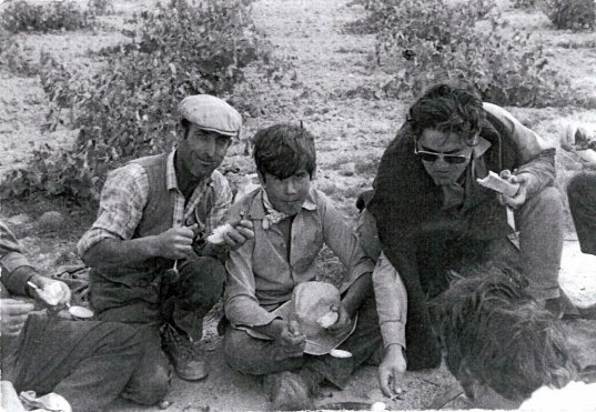 La vendimia