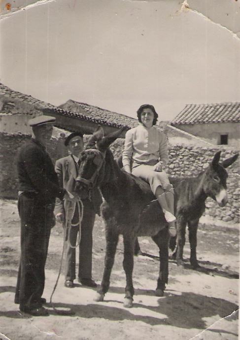 ¿burro taxi?