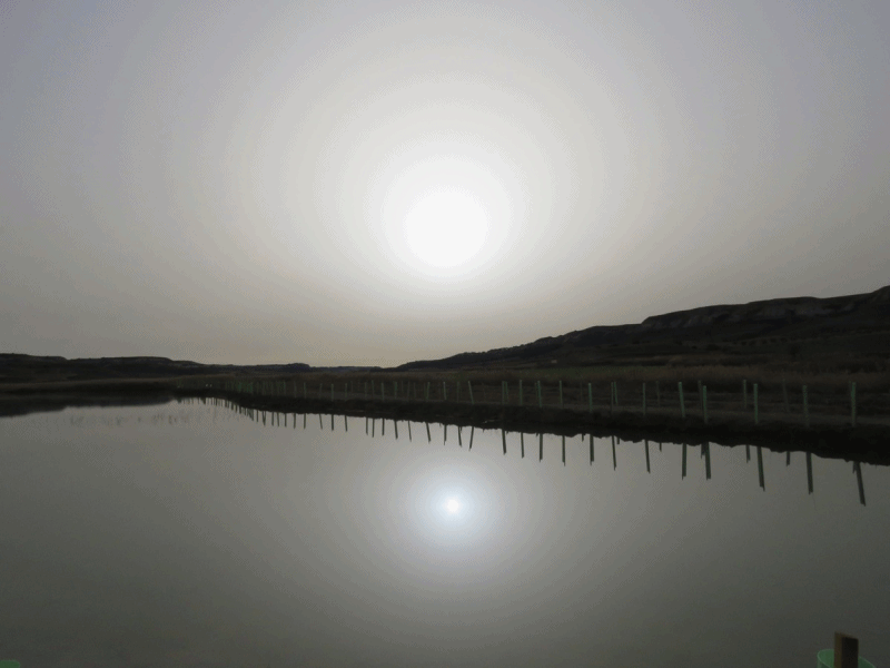 Simetrías en las lagunas un día de calima por polvo sahariano