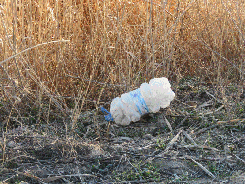 Basura en las lagunas de La Guardia