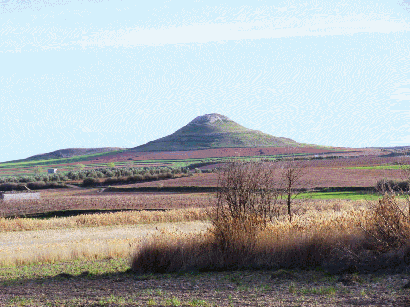 Fotos en primavera en las inmediaciones de la casa del Sastre. 19-3-2017