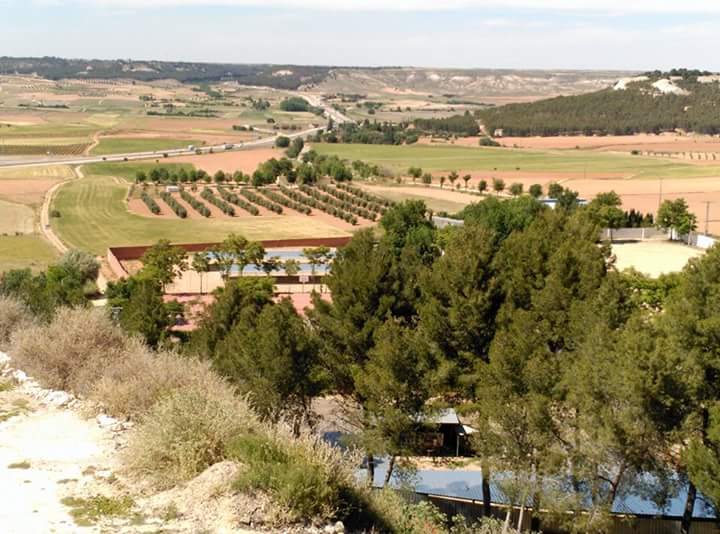 Vista desde las cercas del norte