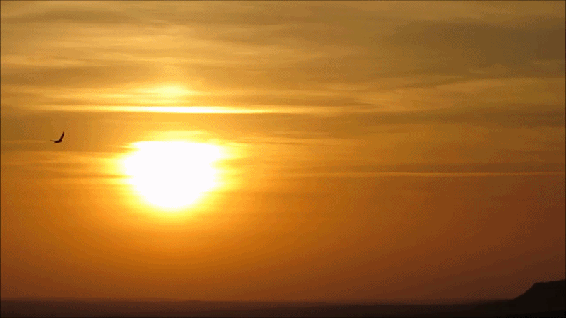 Las golondrinas y la puesta de sol desde camino del Cementerio