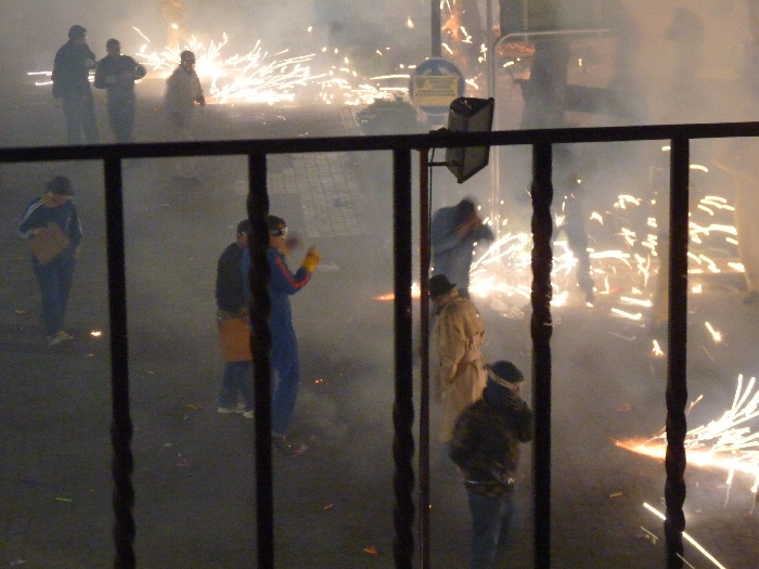 FIESTAS 2010
