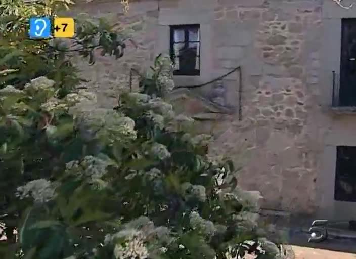 Fragmento del episodio de la serie de Telecinco "Hermanos y Detectives" titulado "Ilustres antepasados" en donde se habla del Santo Niño de La Guardia