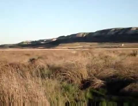 11 de Marzo de 2007. La Laguna con agua y patos.