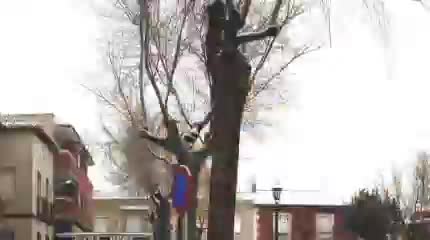 La glorieta nevada visualizada en el nuevo formato interactivo con controles