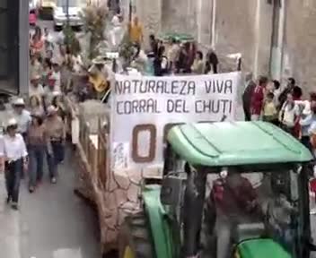 24 de Septiembre de 2006. Carroza de "El Koala" , "el Corral del Chuti"