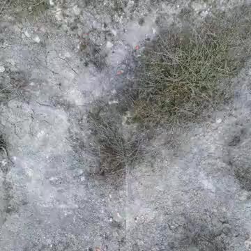 Visión total desde las Cuevas del Arrabal