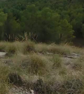 La cuesta de El Madero desde los cerros de la Casa de Marisol en el formato de visualización interactivo con controles