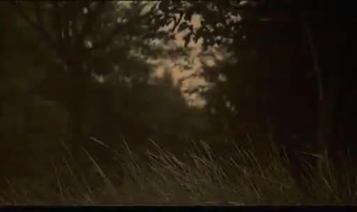 Secuencia de la película "El Puente" (1976) de Juan Antonio Bardem protagonizada por Alfredo Landa grabada en el Alamillo
