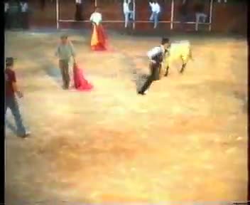 Fiestas de 1995. Suelta de vaquilla para los guardiolos en la Plaza de Toros portátil de la localidad