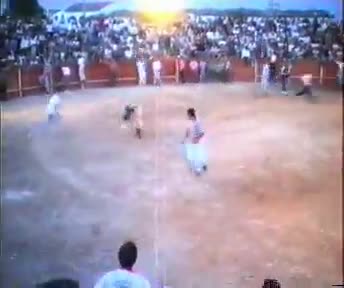 Fiestas de 1995. Plaza de toros portátil de La Guardia.Vaquilla popular con intenciones saltarinas...