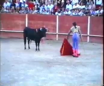 Fiestas de 1995. Estoque de la mujer torero