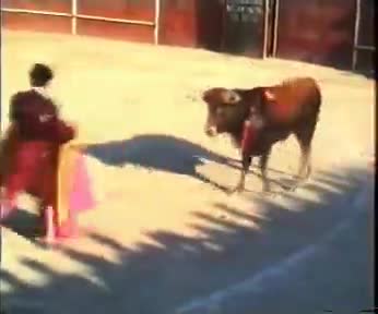 Fiestas de 1995. Torero entrando a matar en la Plaza de Toros portátil de la localidad