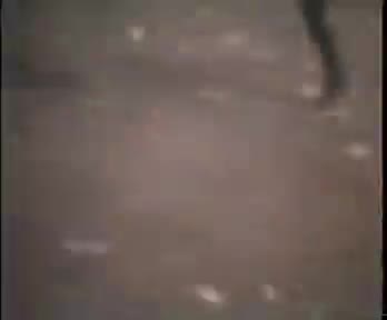 Fiestas de 1987. Toros de fuego en la Plaza