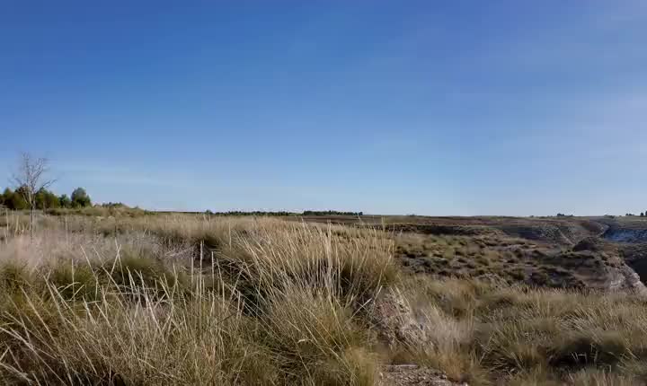 El Montón de Trigo de la Dehesa Monreal