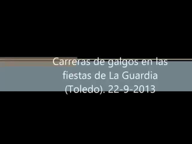 Carrera de galgos en las fiestas 2013 en la Carretera de Villatobas, Km 3